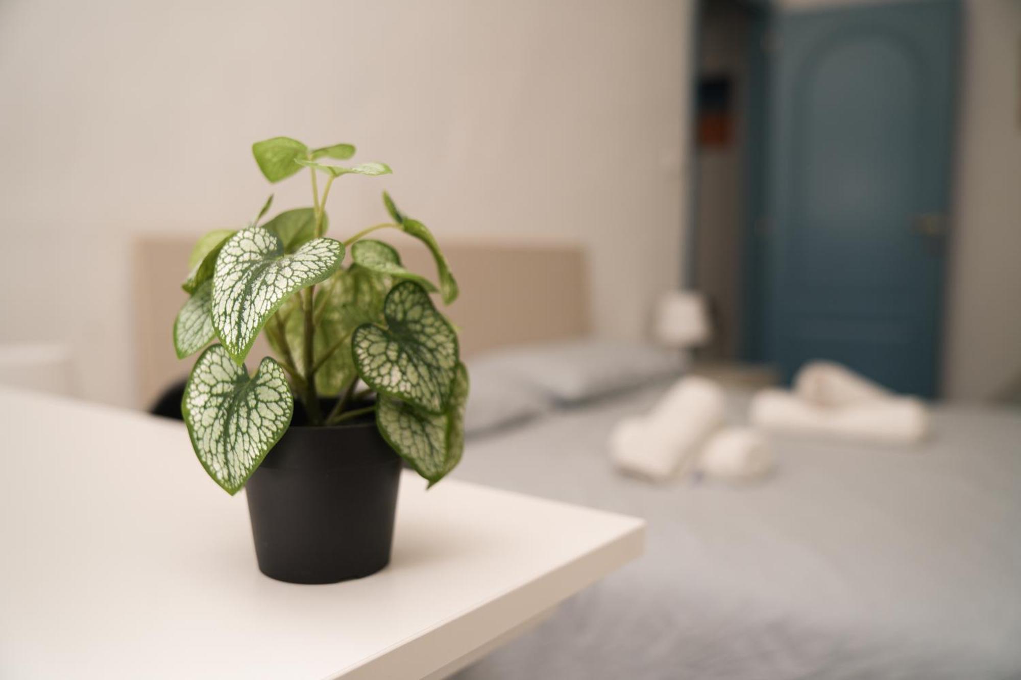 Camyhouse Apartman Torino Kültér fotó