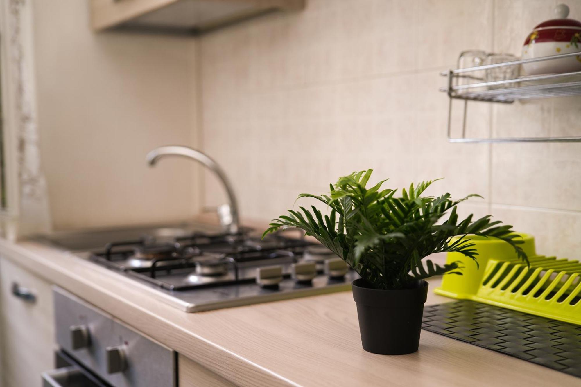 Camyhouse Apartman Torino Kültér fotó